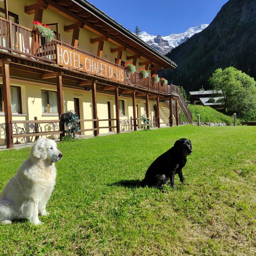 Chalet Du Lys Hotel & Spa Gressoney-la-Trinité Exterior foto